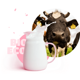 cow end milk